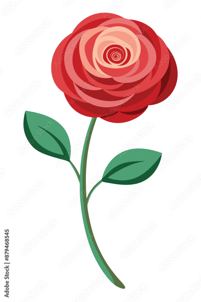Ranunculus plant minimal design vector illustration Ranunculus plant minimal design vector illustration