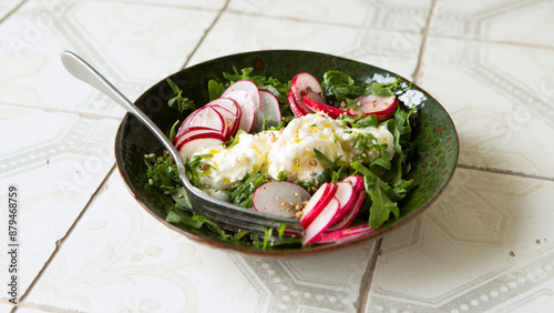 plate with stracciatella cheese with radishes on a light table