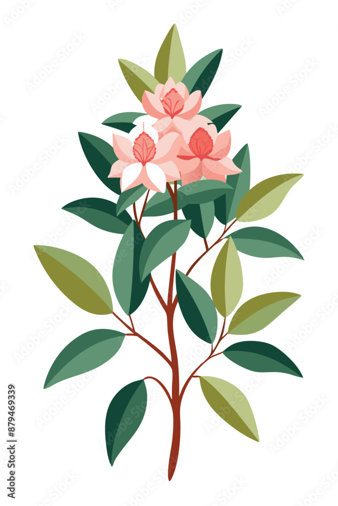 Fototapeta premium Rhododendron plant minimal design vector illustration