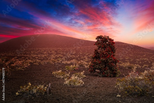 Hawaii Volcanoes National Park, on Hawaii Island (the Big Island). At its heart are the Kilauea and Mauna Loa active volcanoes. The Crater Rim Drive passes steam vents and the Jaggar Museum photo