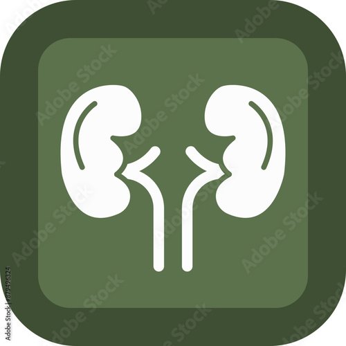 Kidneys Glyph Green Box Icon