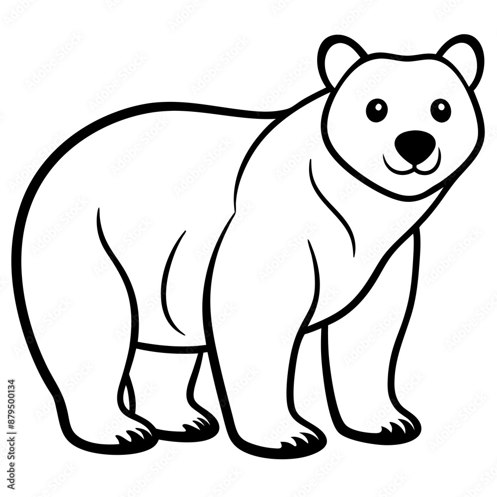 illustration of bear illustration of bear