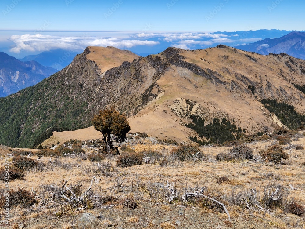 Naklejka premium landscape in the mountain