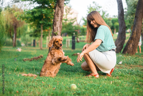 cocker Spaniel dog having fun and playing with young beautiful woman