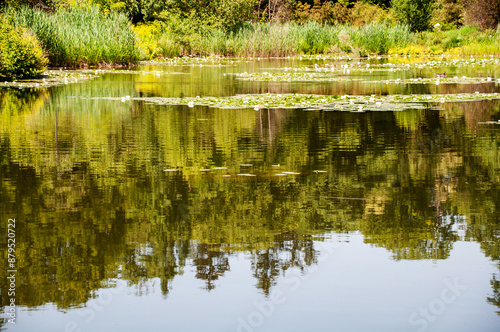 Großer Teich, Botanischer Garten, München