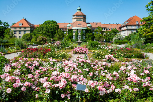 Blühender Rosengarten, Botanischer Garten München
