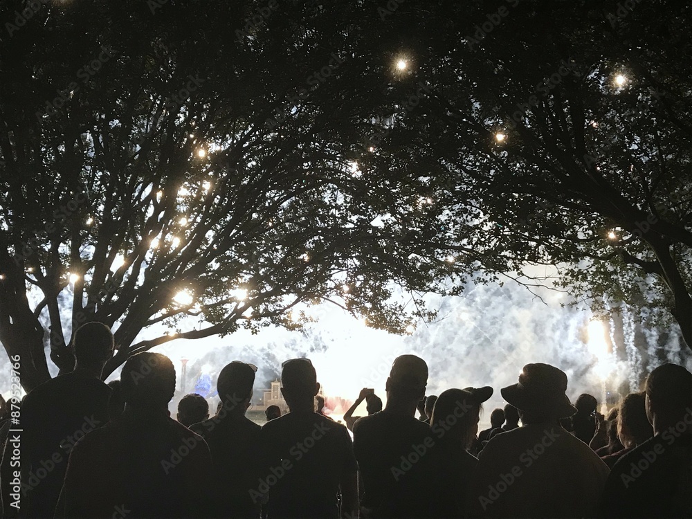 Fototapeta premium Fireworks at night through trees