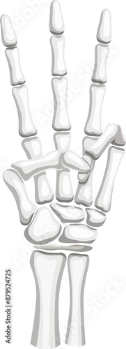 Skeleton hand forms a three-fingered gesture. Isolated vector Halloween skeletal arm creating a striking and eerie symbol with bony fingers extended, embodying a cryptic or mysterious message