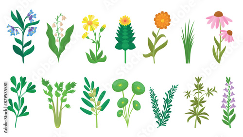 Cartoon medical plants. Thyme calendula parsley chamomile and marijuana. Healing herbs, olive branch with leaves. Neoteric nature vector clipart © MicroOne