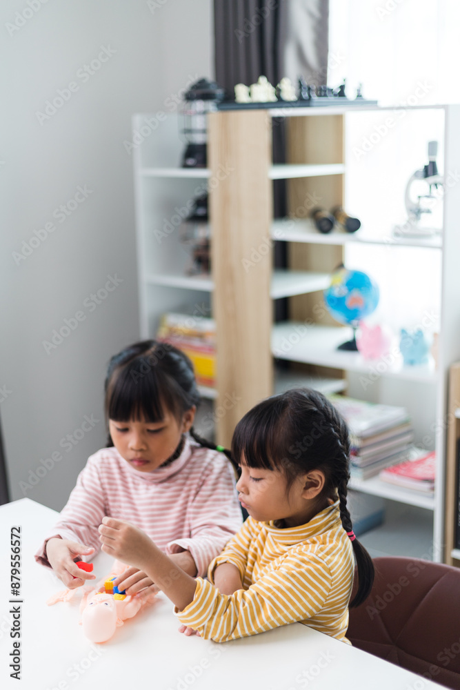 two sibling Playing Anatomy studies for kids. Human body organs and skeleton parts toy. Learning medical terms, order and location of each part. at home. two sibling Playing Anatomy studies for kids. Human body organs and skeleton parts toy. Learning medical terms, order and location of each part. at home.