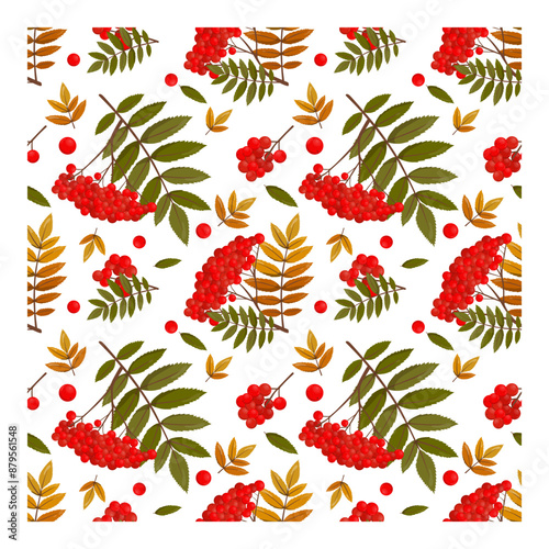 Seamless vector pattern, rowan branches and twigs with leaves on a white background. Autumn print, textile, background, vector