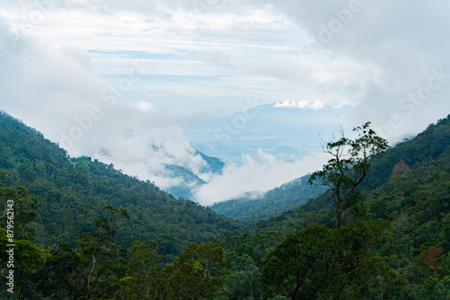 High-altitude landscape. Highlands, the road to Dalat in Vietnam. 