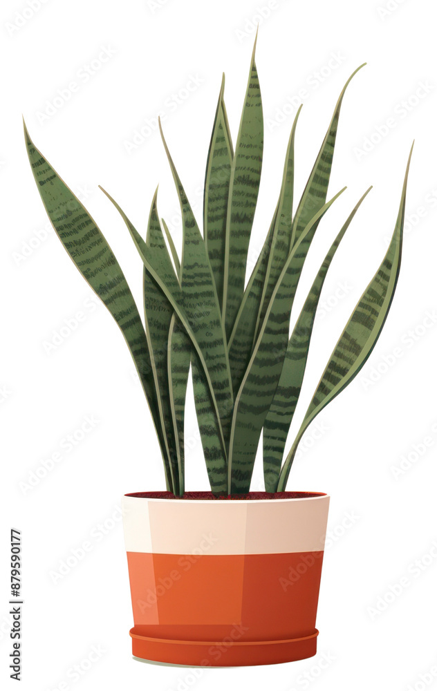 PNG Plant leaf houseplant flowerpot. PNG Plant leaf houseplant flowerpot.
