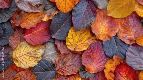 A textured autumn leaf background with vibrant fall colors, providing a warm and seasonal atmosphere.