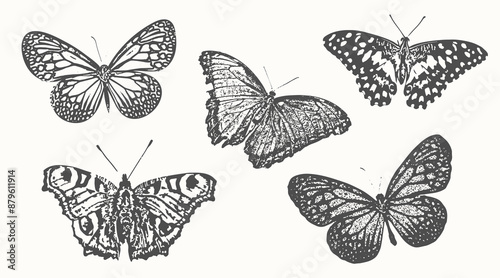 Set of photocopy butterfly. Vector illustration for grunge style. Coquette collage element with grain effect. Trendy retro modern stickers. Monochrome design elements.