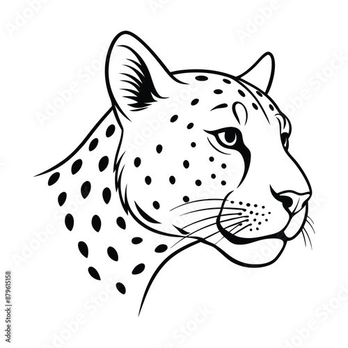 A Cheetah head side view line art vector illustration. photo