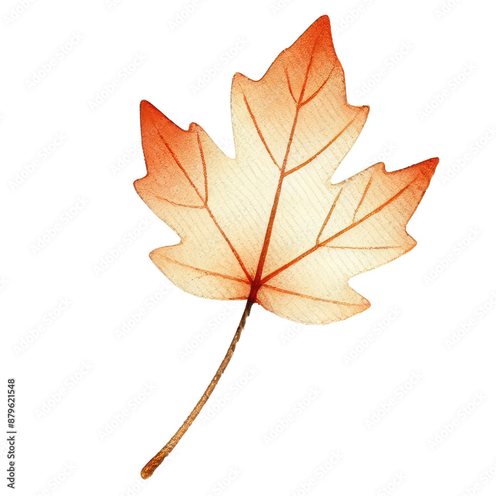 Obraz premium Watercolor illustration of a single autumn leaf with vibrant colors perfect for seasonal and botanical themes