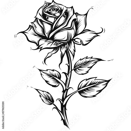 A rose is drawn in black and white. The rose is the main focus of the image, and it is depicted as a single stem with a single flower. The flower is large and takes up most of the space in the image