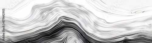 Elegant black and white line drawing with intricate patterns and fluid lines ideal for a stylish and refined wallpaper design