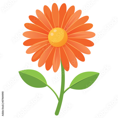 lone orange daisy against a white background