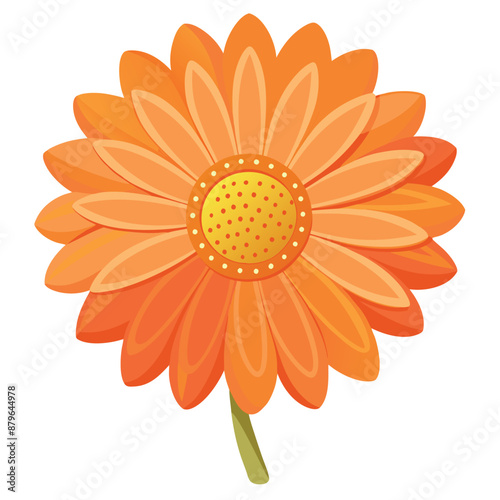 lone orange daisy against a white background