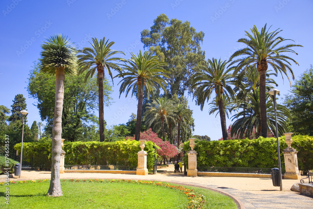 View of Murillo Gardens in summer sunny day in Seville, Spain View of Murillo Gardens in summer sunny day in Seville, Spain