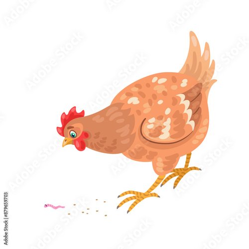 Beautiful mottled hen found a worm. Isolated on white background. Vector flat illustration