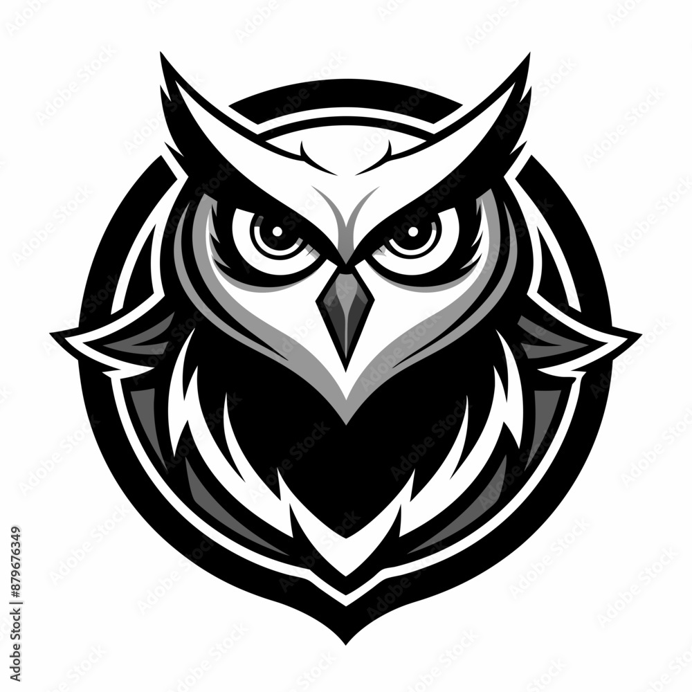 owl vector and illustration owl vector and illustration