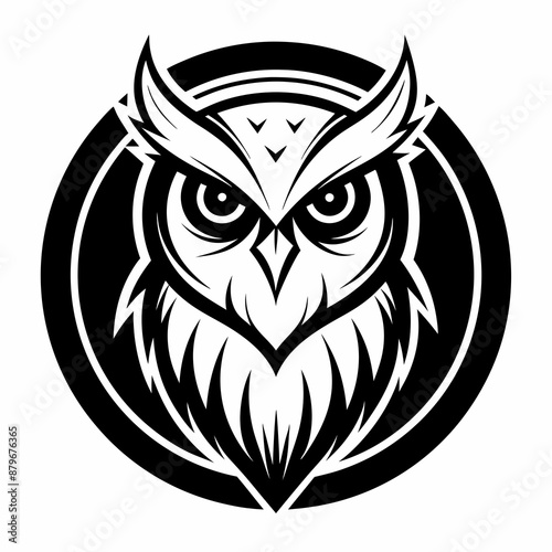 owl vector and illustration