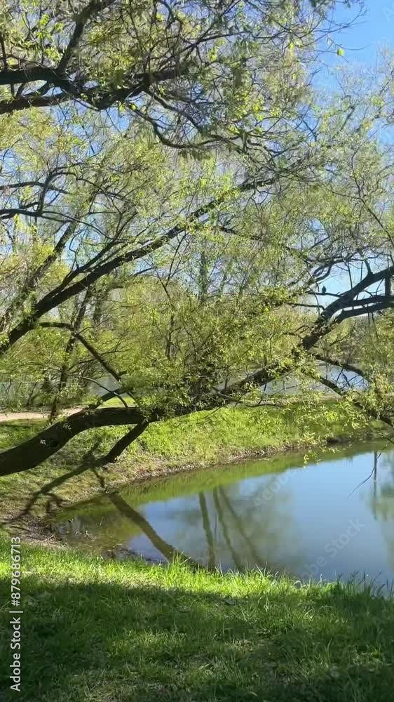 a river and a park with green trees a river and a park with green trees