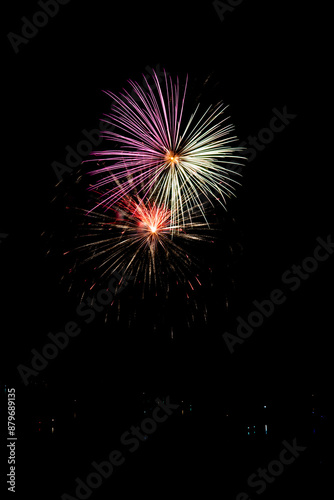  Beautiful fireworks in the night sky #76
