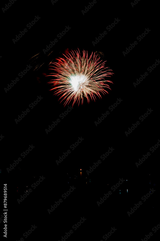 Beautiful fireworks in the night sky with copy space #72 Beautiful fireworks in the night sky with copy space #72