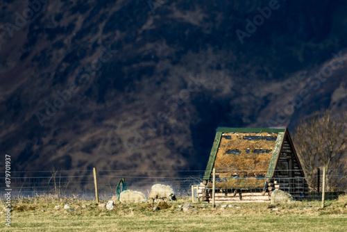 Sheep House