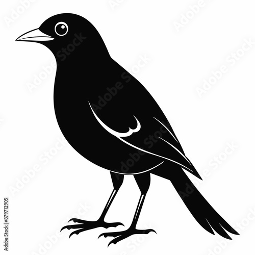 Myna Black silhouette