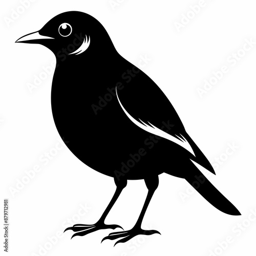 Myna Black silhouette