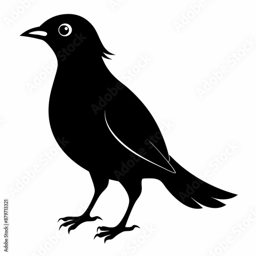Myna Black silhouette