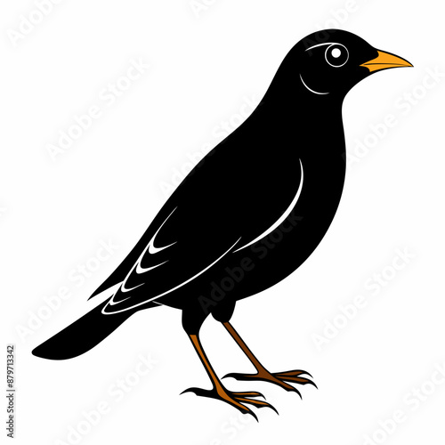 Myna Black silhouette