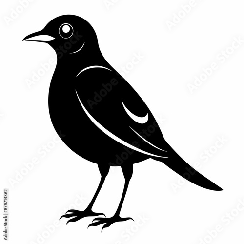 Myna Black silhouette