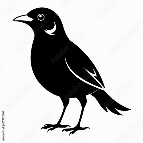 Myna Black silhouette