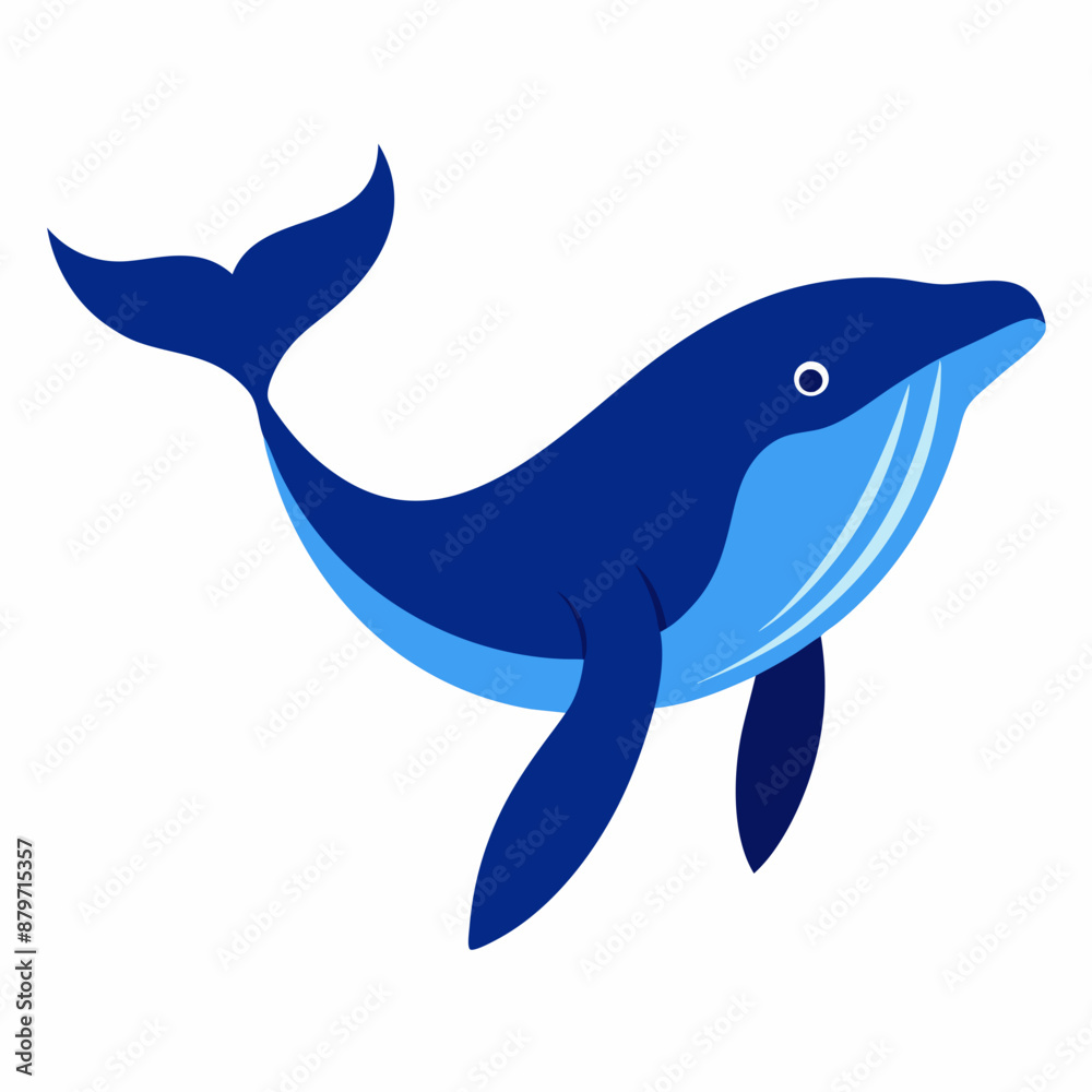 Humpback blue whale vector illustration