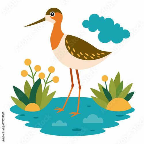 Sandpiper on water and plants white background