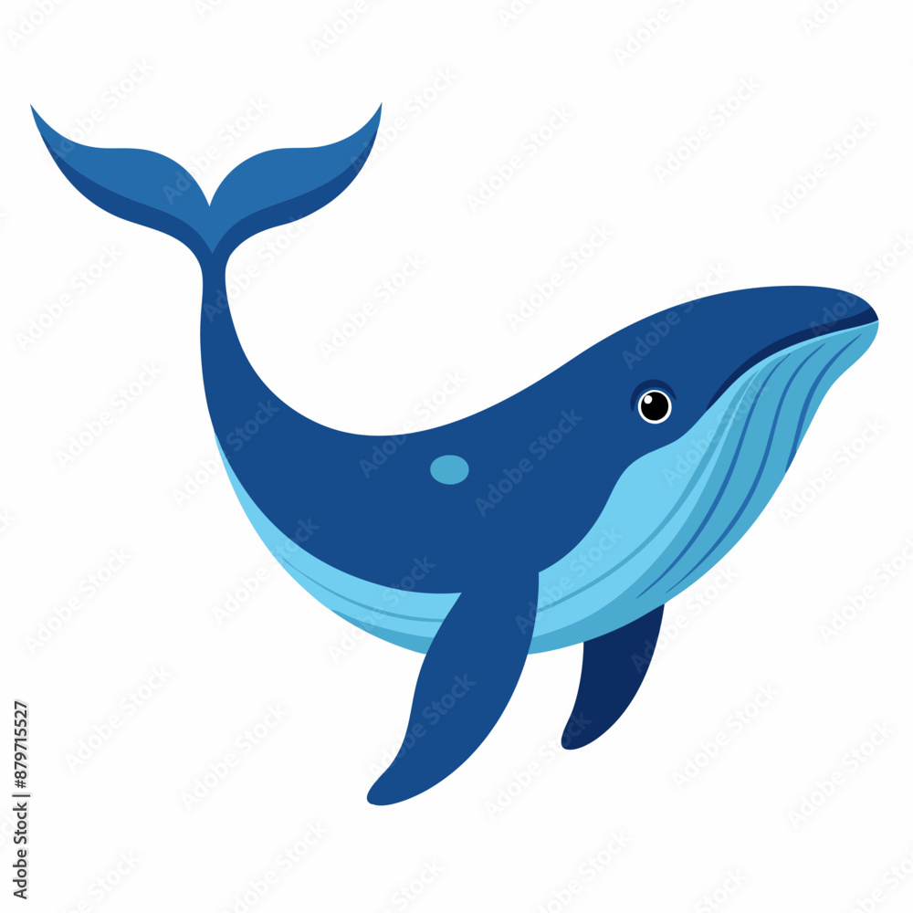Fototapeta premium Humpback blue whale vector illustration