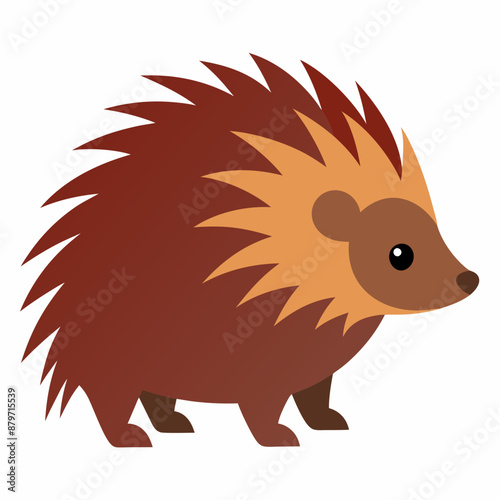 Porcupine vector illustration on white background