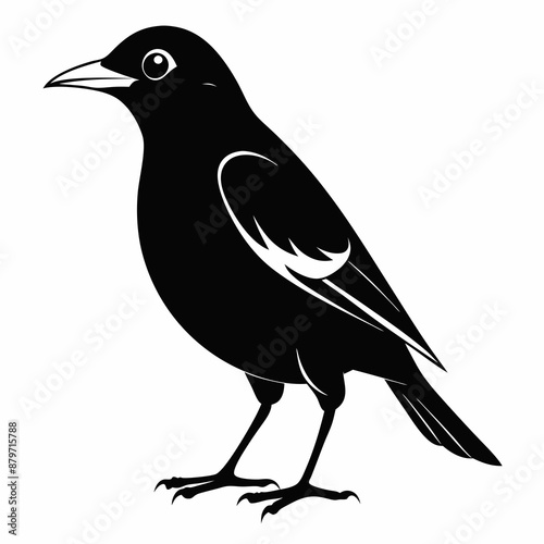Myna Black silhouette