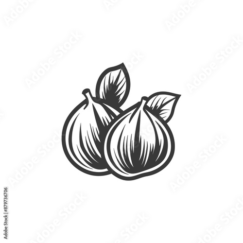 minimalist logo or symbol for hazelnut fruit black color only