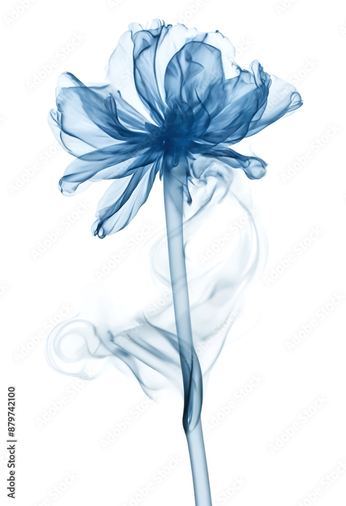 Blue flower made in smoke isolated on white background Blue flower made in smoke isolated on white background