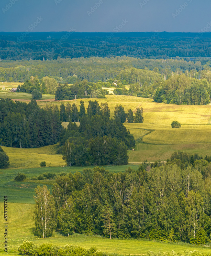 Obraz premium Bay Lake Sivers. Nature of Latvia, Latgale.