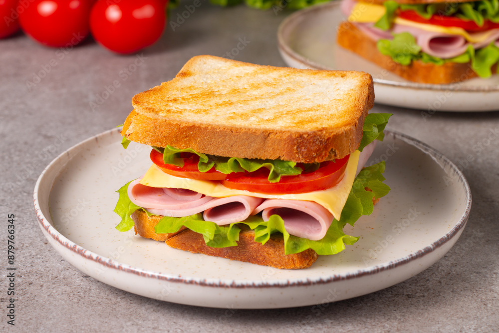 Close-up of two sandwiches with bacon, salami, prosciutto and fresh vegetables on rustic wooden cutting board. Club sandwich concept Close-up of two sandwiches with bacon, salami, prosciutto and fresh vegetables on rustic wooden cutting board. Club sandwich concept