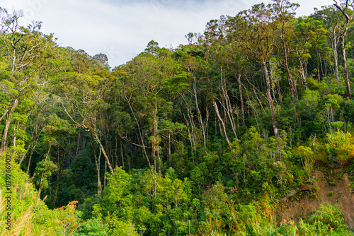 The natural landscape. On the way to Dalat in Vietnam. 