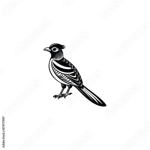 Elegant Trogon vector  silhouette